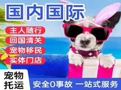 宜宾五粮液航空托运国际宠物托运 【国